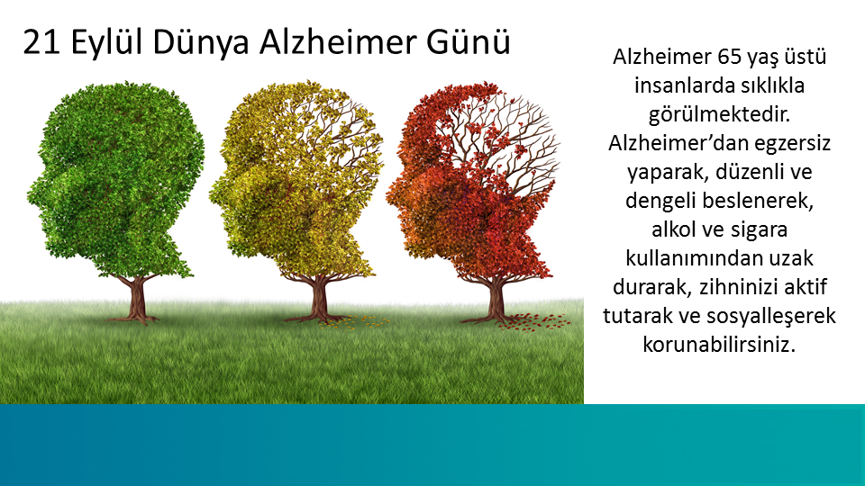 21-Eylül-Dünya-Alzheimer-Günü-Çalışması-1-620x420@2x.png